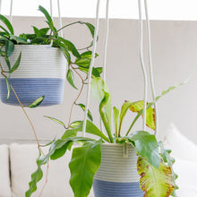 Hanging Planter - Blue-Grey