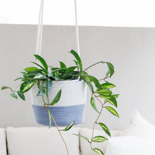 Hanging Planter - Blue-Grey