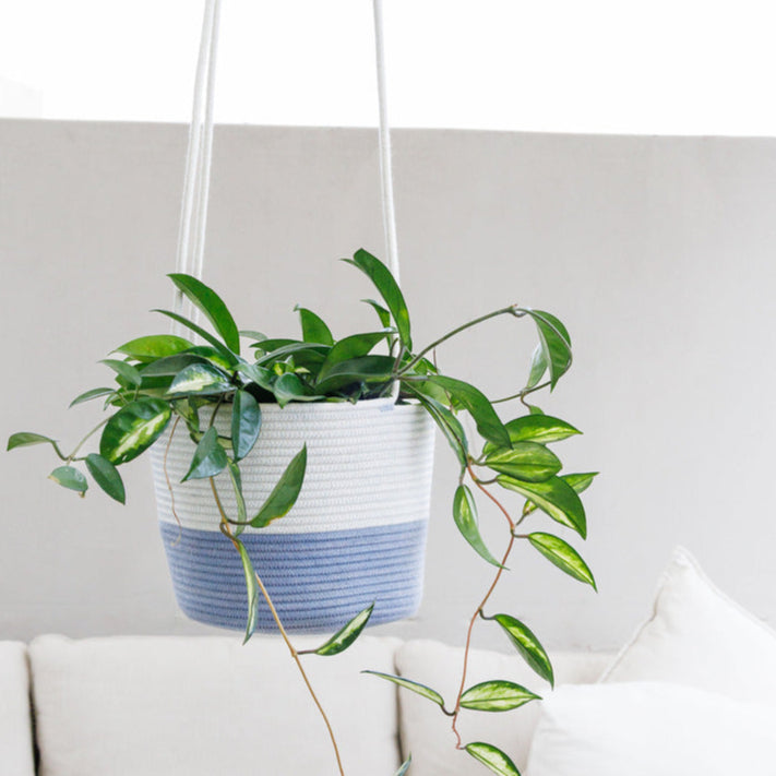 grey hanging planter Hanging Planter