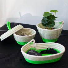Petite Lidded Basket - Neon