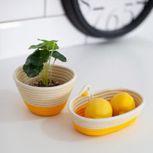 Petite Planter - Neon