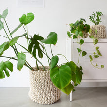 Loadshedding Cylinder Basket - Ivory