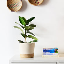 Planter Basket - Jute Block