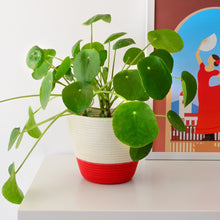 Planter Basket - Red Block