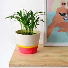 Planter Basket - Flamingo Pink & Yellow