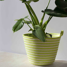 Planter - Pistachio Green Swirl