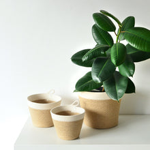 Planter Basket - Jute Jungle