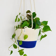 Hanging Planter - Royal Blue Block