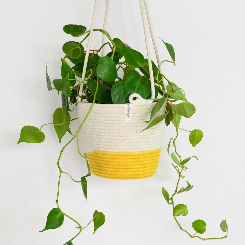 meiwo hanging planter Hanging Planter