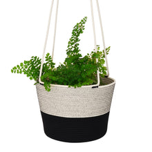 Hanging Planter - Liquorice