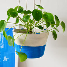 Hanging Planter - Ocean Blue