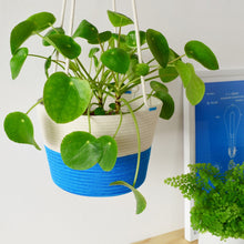 Hanging Planter - Ocean Blue