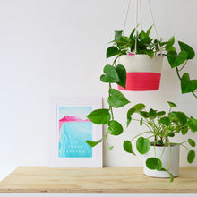 Hanging Planter - Flamingo Pink