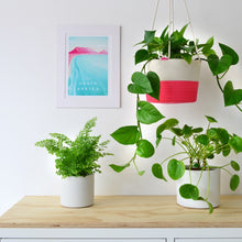 Hanging Planter - Flamingo Pink