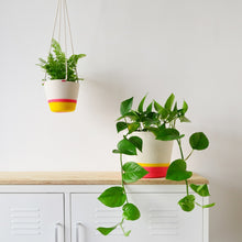 Hanging Planter - Sunrise Yellow