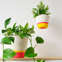 Hanging Planter - Flamingo Pink & Yellow