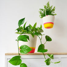 Planter Basket - Flamingo Pink & Yellow