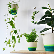 Hanging Planter - Moss Green