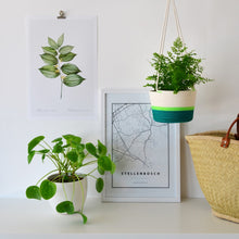 Hanging Planter - Moss Green