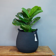 Babsy Basket - Midnight