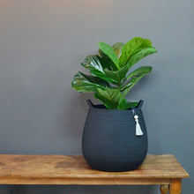 Babsy Basket - Midnight