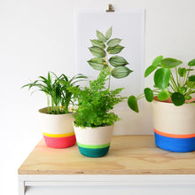 Planter Basket - Flamingo Pink & Yellow