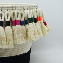 Earrings - Ivory