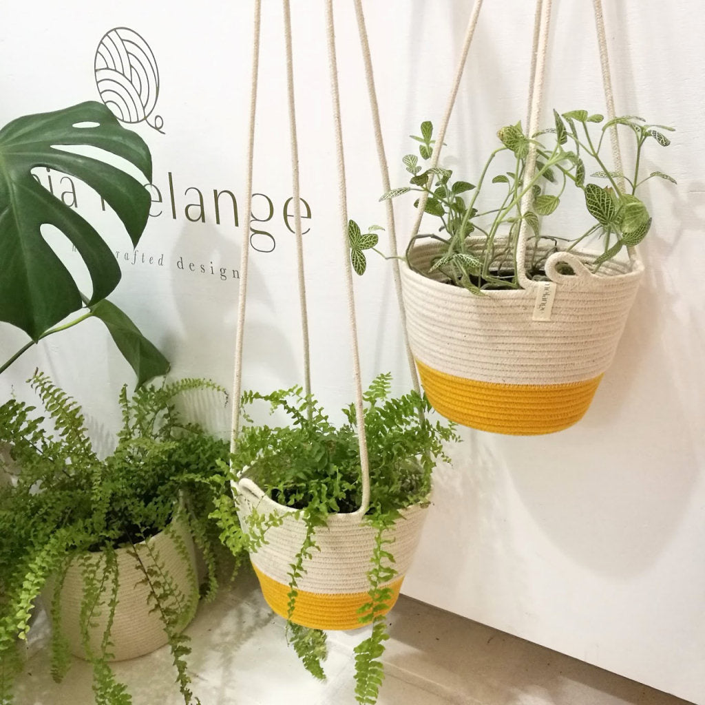 meiwo hanging planter Hanging Planter