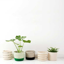 Cylinder Basket - Ivory