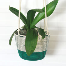 Hanging Planter - Greenery