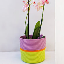 Cylinder Basket - Tropical