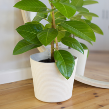 Planter Basket - Ivory
