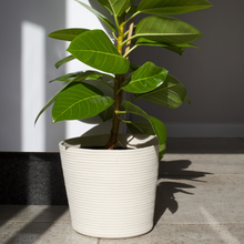 Planter Basket - Ivory