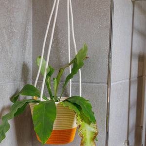 Hanging Planter - Mustard
