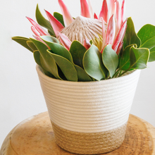 Planter Basket - Jute Block