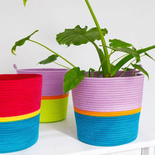 Planter Basket - Tropical