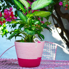 Planter Basket - Fuchsia