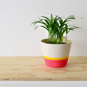 Planter Basket - Flamingo Pink & Yellow