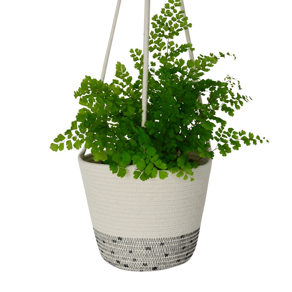polka dot plant hanging basket Hanging Planter