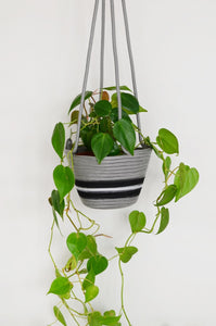 Hanging Planter - Mbizi