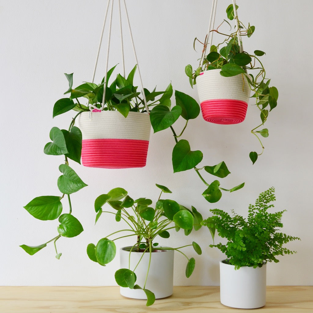 hanging flamingo planter Hanging Planter