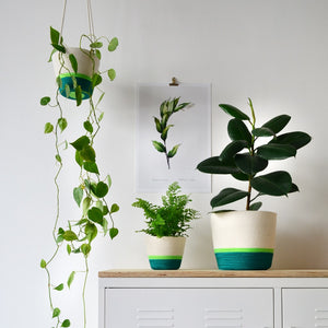 Hanging Planter - Moss Green