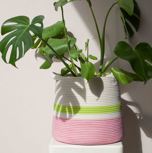 Conical Basket - Strawberry Pink & Pistachio Green Block & Striped