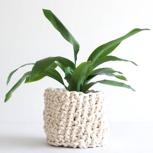 Loadshedding Planter - Ivory