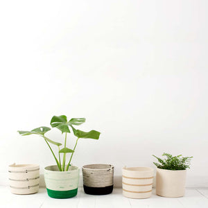 Cylinder Basket - Greenery