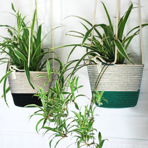 Hanging Planter - Liquorice