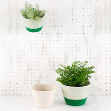 Planter Basket - Greenery